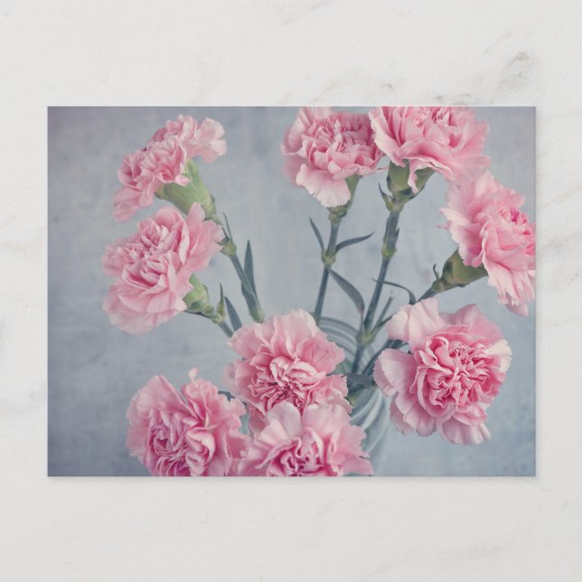 Postal Pink Carnations (Anverso)