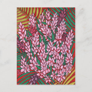 Postal Pink Cone Ginger Alpinia Flores tropicales Floral