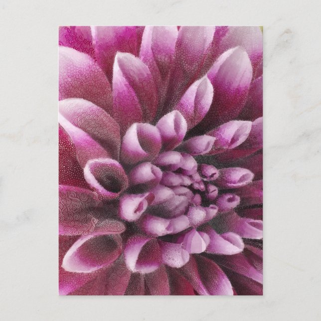 Postal Pink Dahlia (Anverso)