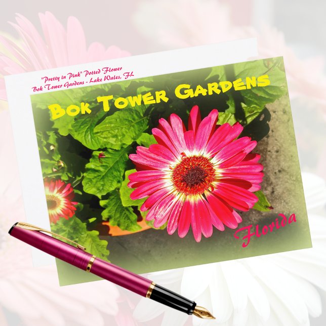 Postal Pink Flower Bok Tower Gardens Lake Wales Florida (Subido por el creador)