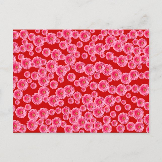 Postal Pink Gerber Daisies (Anverso)