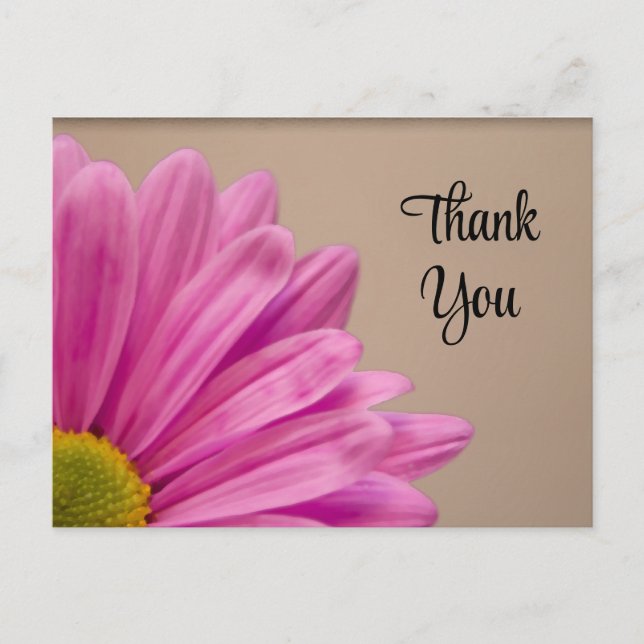 Postal Pink Gerber Daisy Gracias (Anverso)