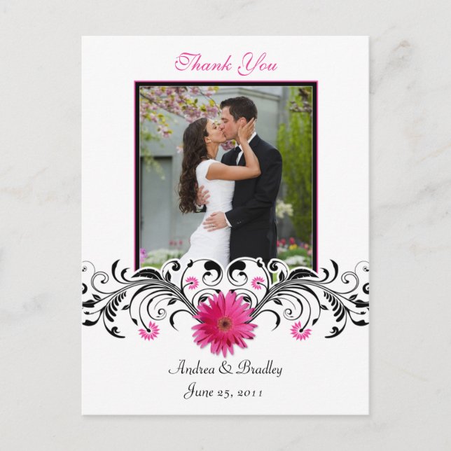 Postal Pink Gerbera Daisy Gracias Postcard (Anverso)