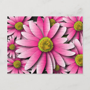 Postal Pink Gerbera Daisy Postcard