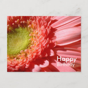 Postal Pink Gerbera - Feliz cumpleaños