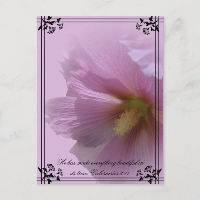Postal Pink Hollyhock (Anverso)
