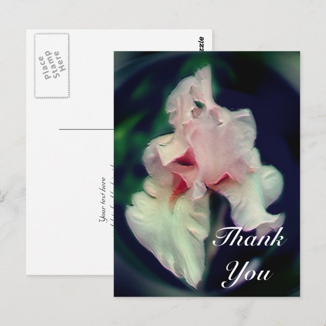 Postal Pink Iris Abstract Floral Gracias Postcard (Anverso / Reverso)