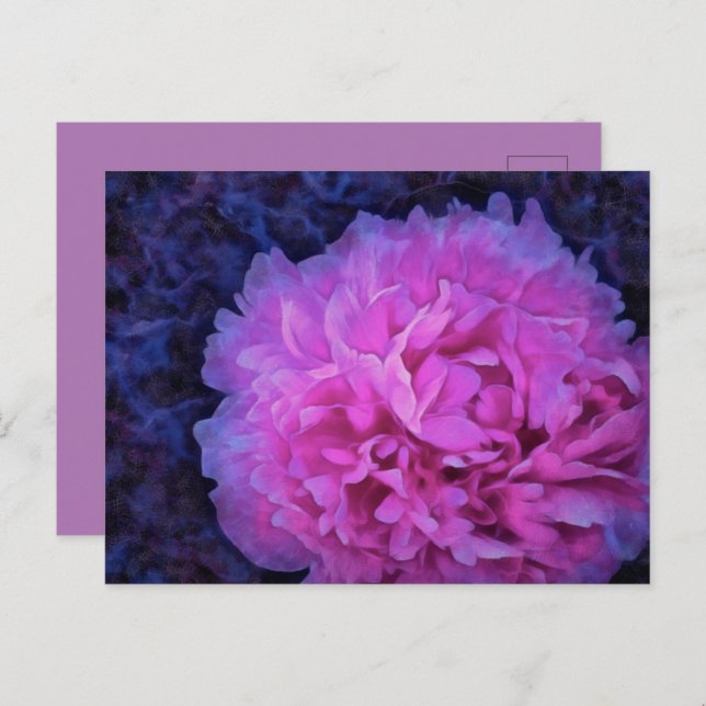 Postal Pink Lush Peony Flower (Anverso / Reverso)