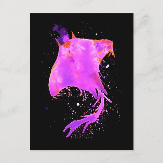 Postal Pink Manta Ray (Anverso)