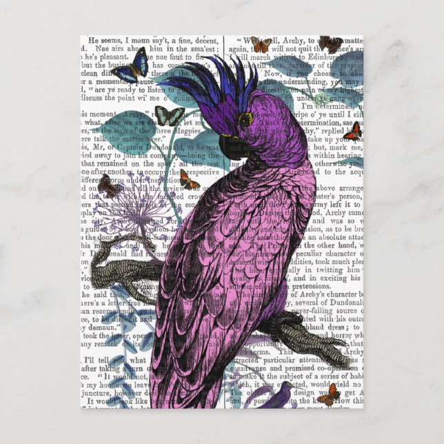 Postal Pink Parrot (Anverso)