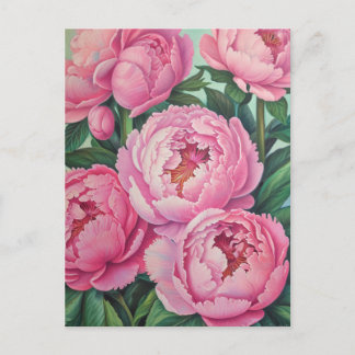 Postal Pink peonies Pastel Flor