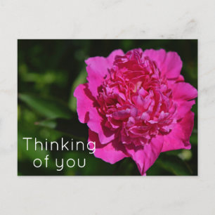 Postal Pink Peony Garden: Pensando en ti