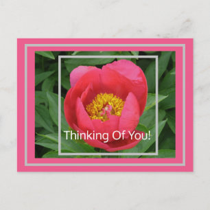 POSTAL PINK PEONY/PENSANDO EN TI