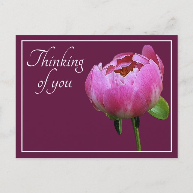 Postal Pink Peony Wine Color Background Pensando En Ti (Anverso)