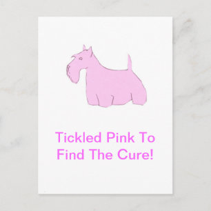 Postal Pink Scottish Terrier