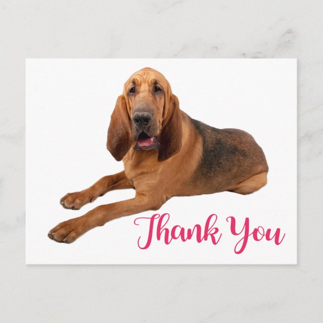 Postal Pink Thank You Bloodhound Puppy Docard (Anverso)