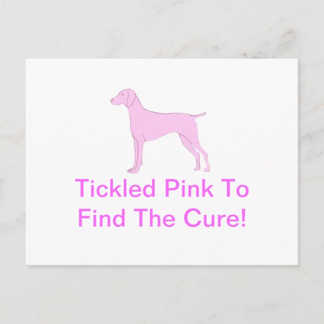 Postal Pink Vizsla (Anverso)
