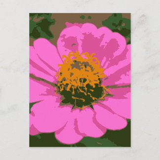 Postal Pink Zinnia