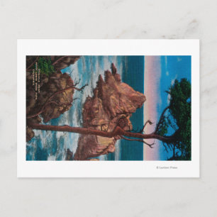 Postal Pinnacle Point, Parque Estatal Point Lobas