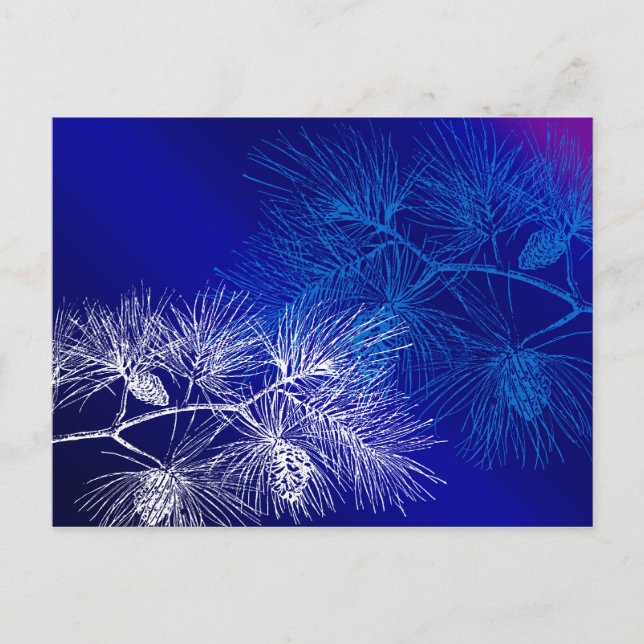 Postal Pino de invierno azul y blanco (Anverso)