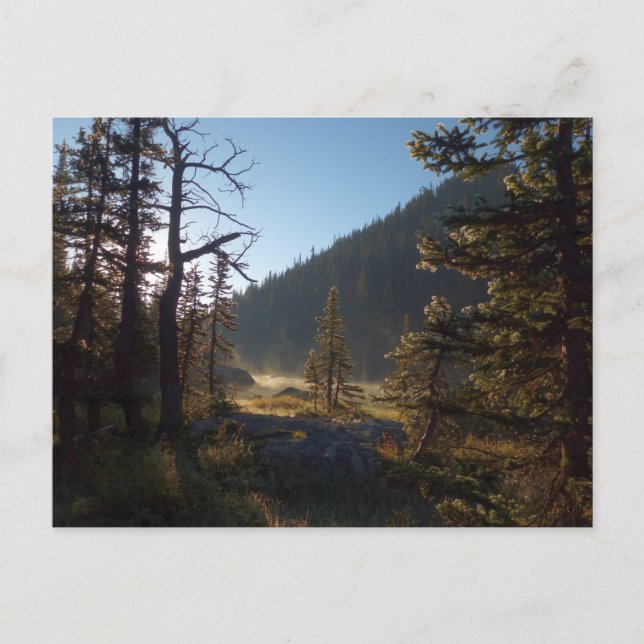 Postal Pinos escarpados al sol en el lago Dream (Anverso)