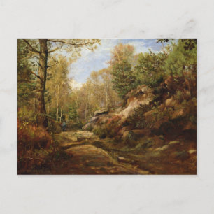 Postal Pinos y árboles de Birch o el bosque de