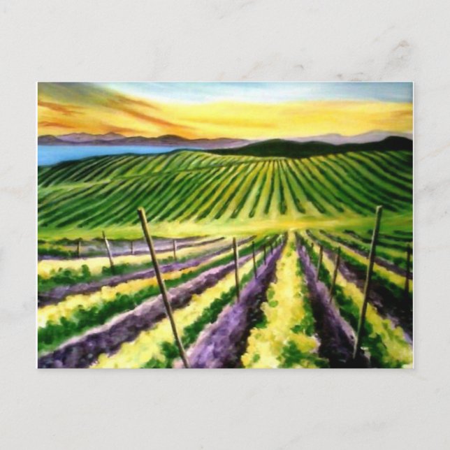 Postal Pinot Postcard Wine Country (Anverso)