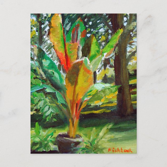 Postal Pintado colorido de una planta de árboles bananero (Anverso)