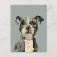 Pintado de color acuático de Bulldog de hojalata "