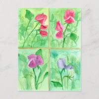 Pintado de color de agua con flores de pé rosadas