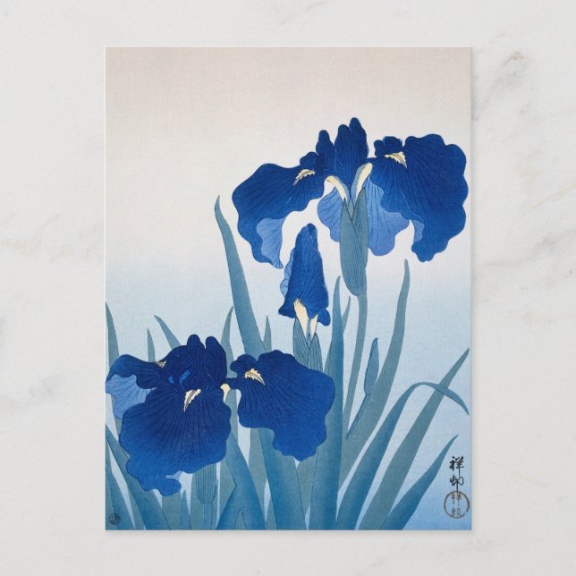 Postal Pintado de flores de Iris por Ohara Koson (Anverso)