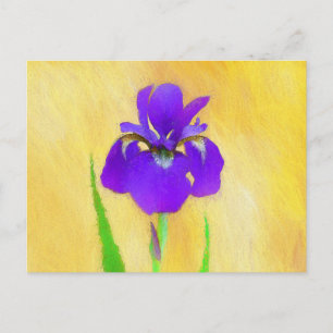 Postal Pintado de iris morado - Perro original curado A