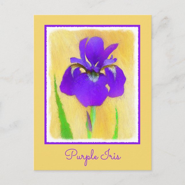 Postal Pintado de iris morado - Perro original curado A (Anverso)
