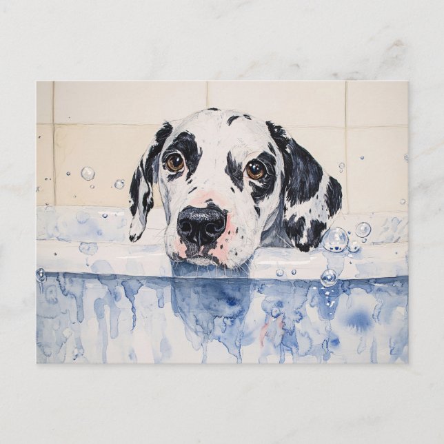 Postal Pintado de tiempo de baño de perro de Dalmacia (Anverso)