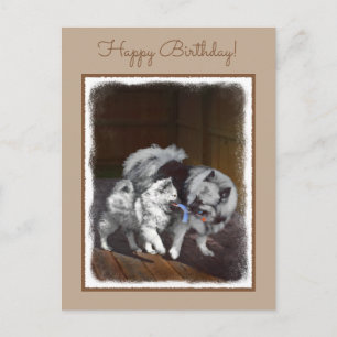 Postal Pintado Keeshond Playtime - Arte Perro Original.