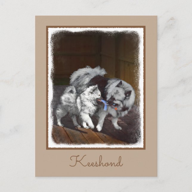 Postal Pintado Keeshond Playtime - Arte Perro Original. (Anverso)