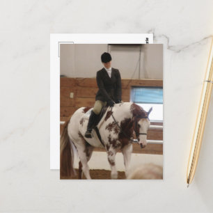 Postal Pintando caballo en un espectáculo de caballos