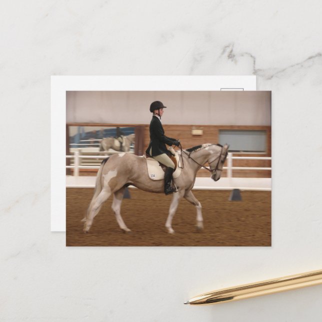 Postal Pintando caballo en un espectáculo de caballos (Anverso/Reverso In Situ)