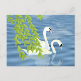 Postal Pintando la pareja azul y verde de cisnes en el la