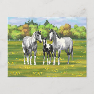Postal Pintar los caballos de pintura de guijarros de gri