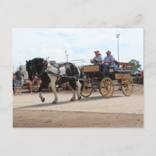 Postal Pinto Borde Caballo 2018 Mt. Agradable, Iowa