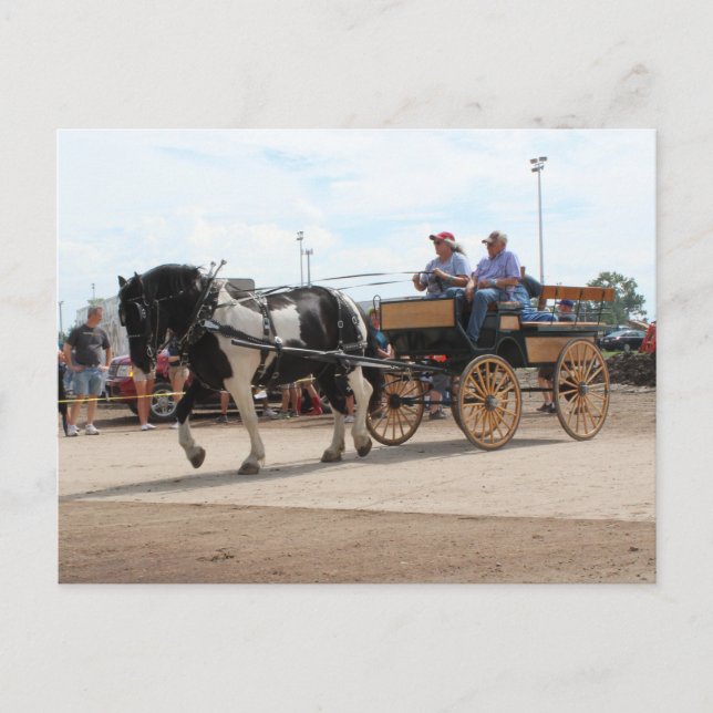 Postal Pinto Borde Caballo 2018 Mt. Agradable, Iowa (Anverso)