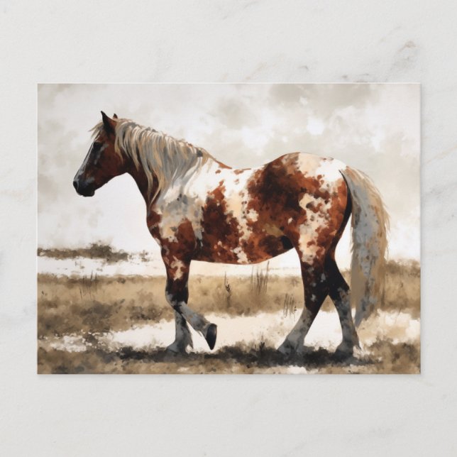 Postal Pinto Horse Watercolor (Anverso)