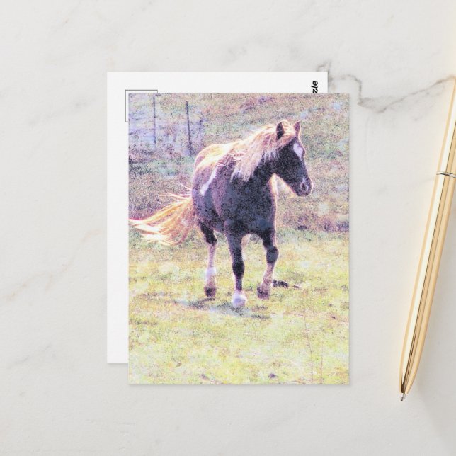 Postal Pinto Pony (Anverso/Reverso In Situ)