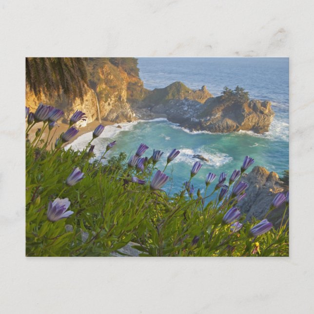 Postal Pintoresca McWay Falls cae en la playa y (Anverso)