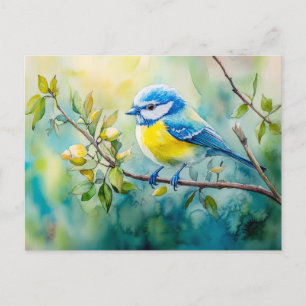 Postal Pintura al acuarela de herrerillo común en una ram