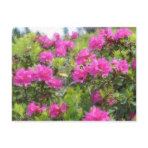 Pintura al óleo de rododendro rosa alpino