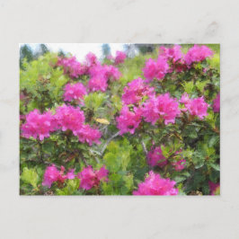 Postal Pintura al óleo de rododendro rosa alpino