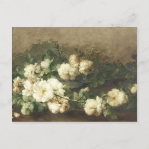 Postal Pintura al óleo de rosas blancas vintage por Marga