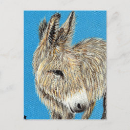 Postal Pintura amistosa de burros